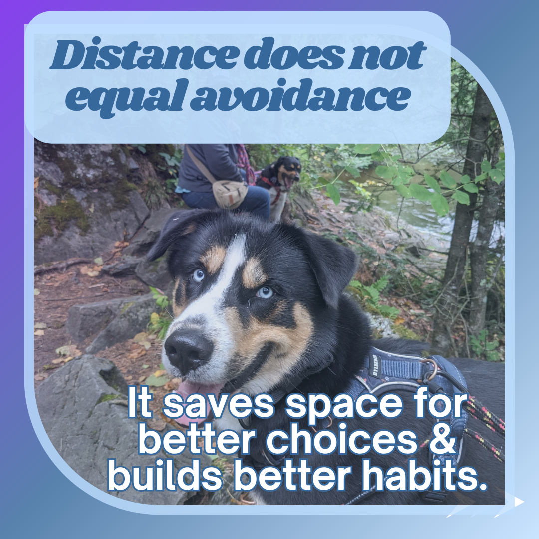 Text states, "Distance does not equal avoidance, it saves space for better choices and builds better habits.
